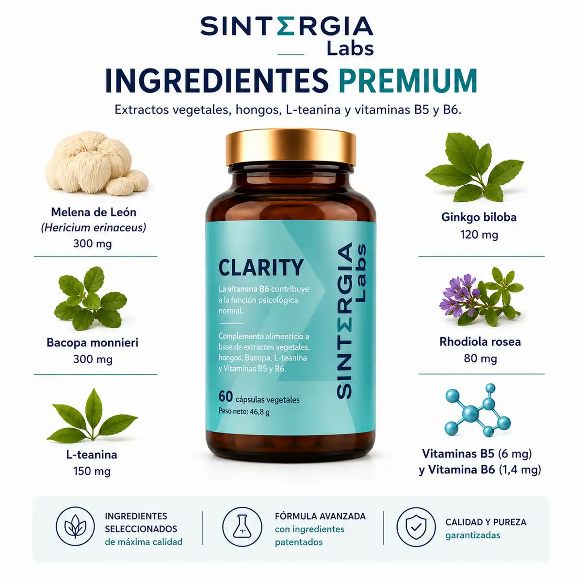 Nootrópico Clarity